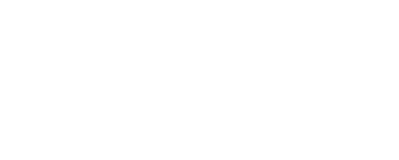 deutscher_steuerverband